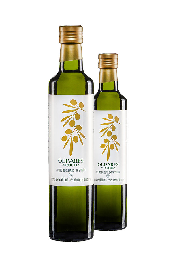 OLIVARES DE ROCHA